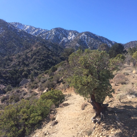 The trail leading out of Devil's Punchbowl and toward Devil's Chair/Burkhart Saddle.