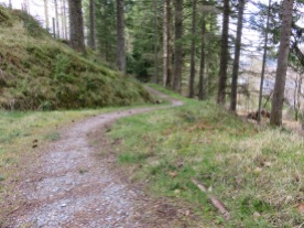 More of the trail from Gairlochy.