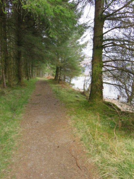 Peaceful stretch along Loch Lochy.