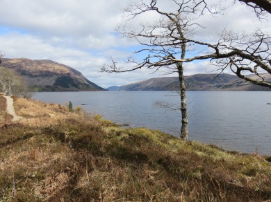 Loch Lochy, and beyond, I think a fairytale kingdom. Castles and everything.