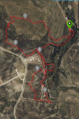 This is the route I ran, you can see the little out and back segment when I went the wrong way in the top left corner.