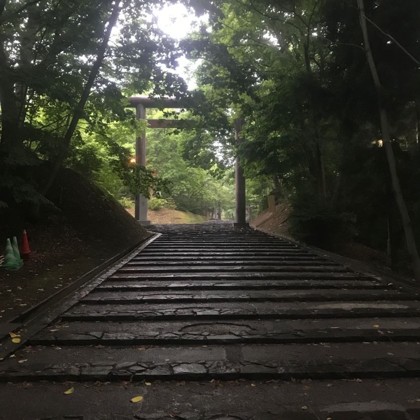 Part of my run through Maruyama Park